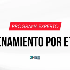 Programa Experto en Entrenamiento por Etapas
