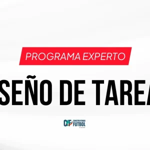 Programa Experto en Diseño de Tareas