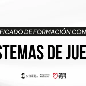 Certificado de Formación Continua en Sistemas de Juego